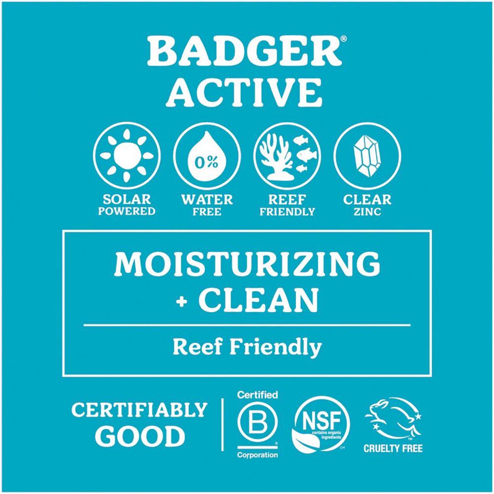 BADGER Clear Zinc Unscented Sunscreen (2.9 Fl Oz)