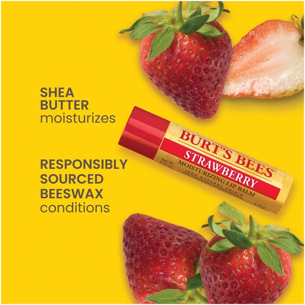 BURT'S BEES Lip Balm Best of Burt's Blister 4 Pack