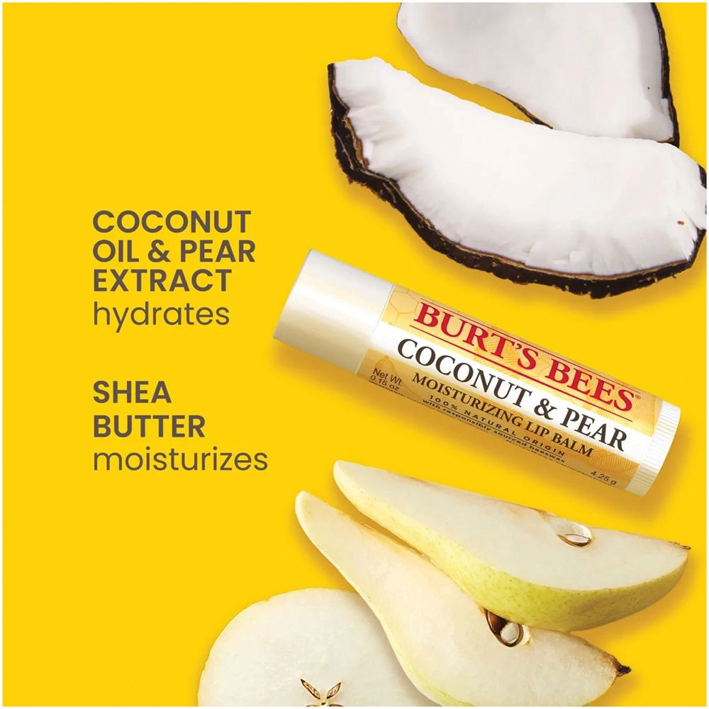 BURT'S BEES Lip Balm Best of Burt's Blister 4 Pack
