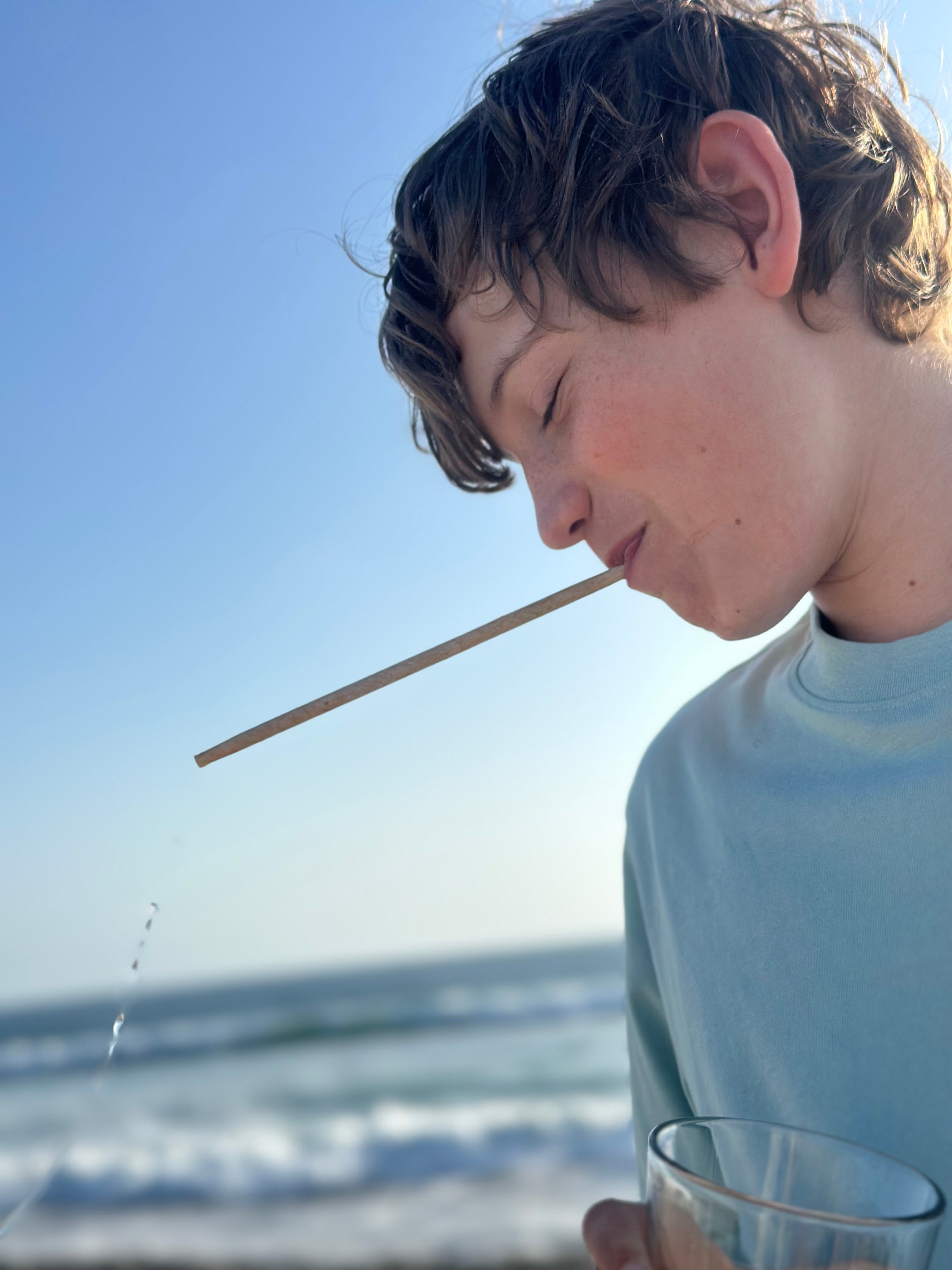 Coconut Drinking Straws by EQUO