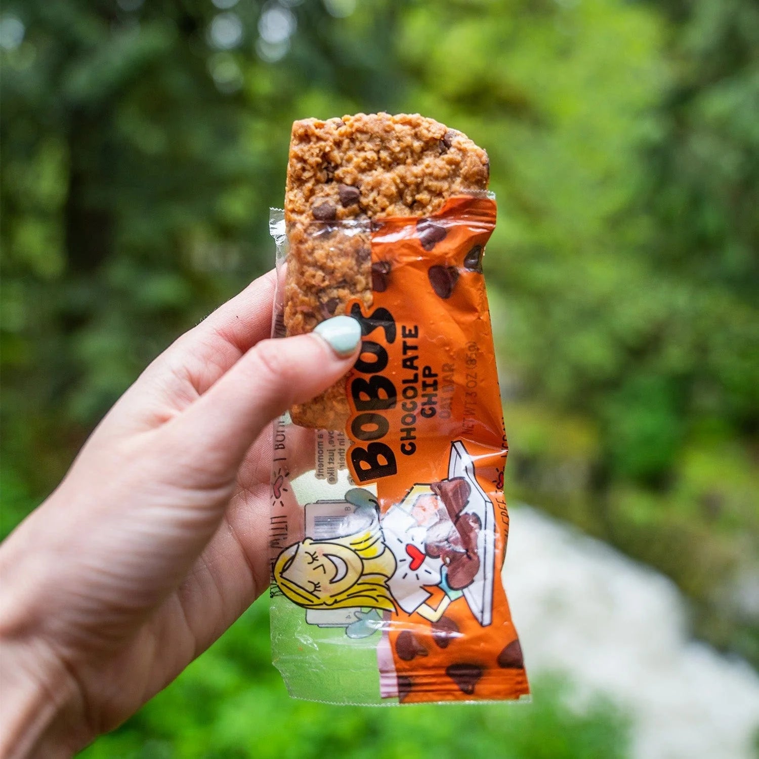 BOBO'S Oat Bars - 7 Flavors Available - Box of 12