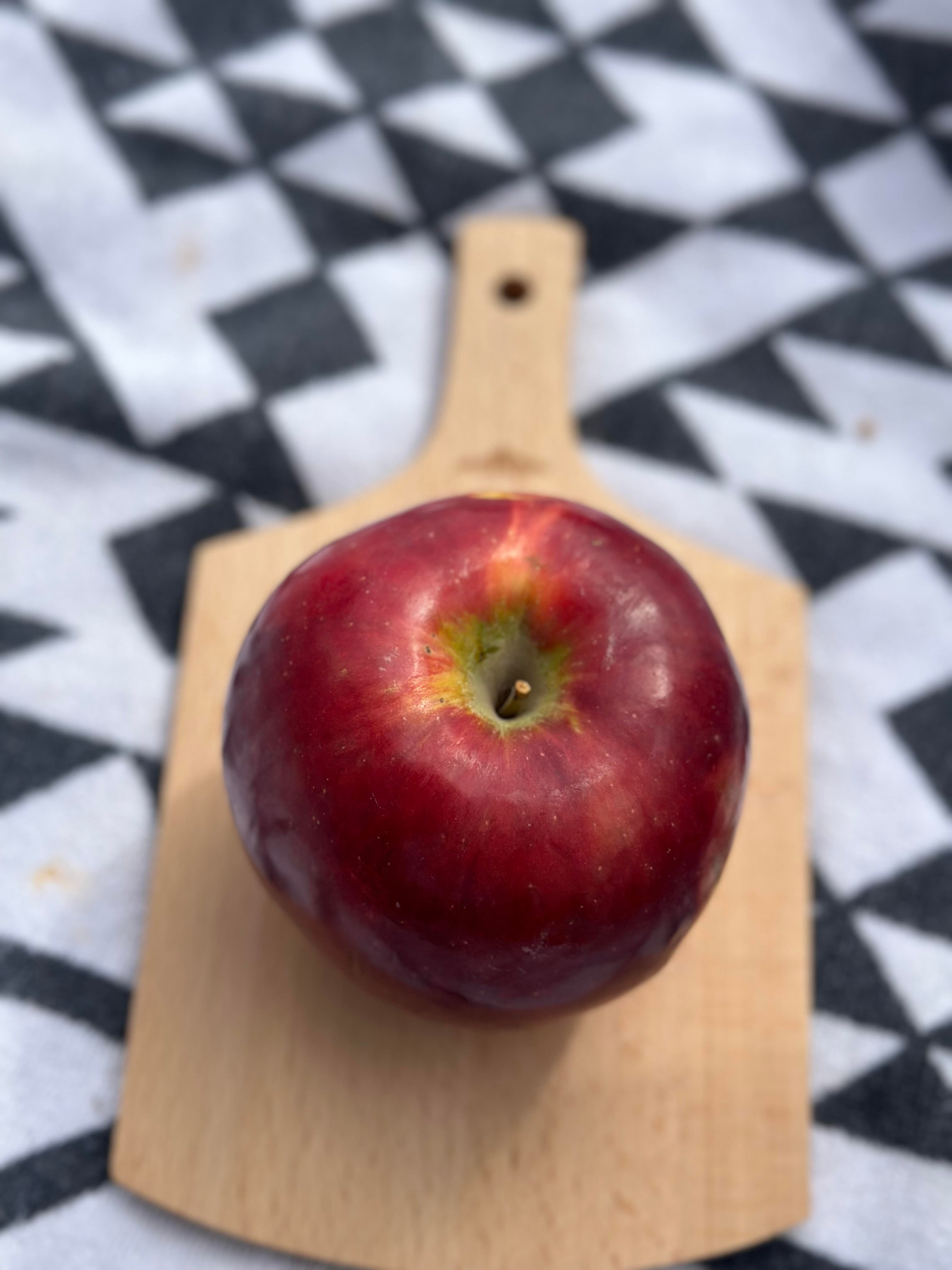 Evernew Forestable Cutting Board