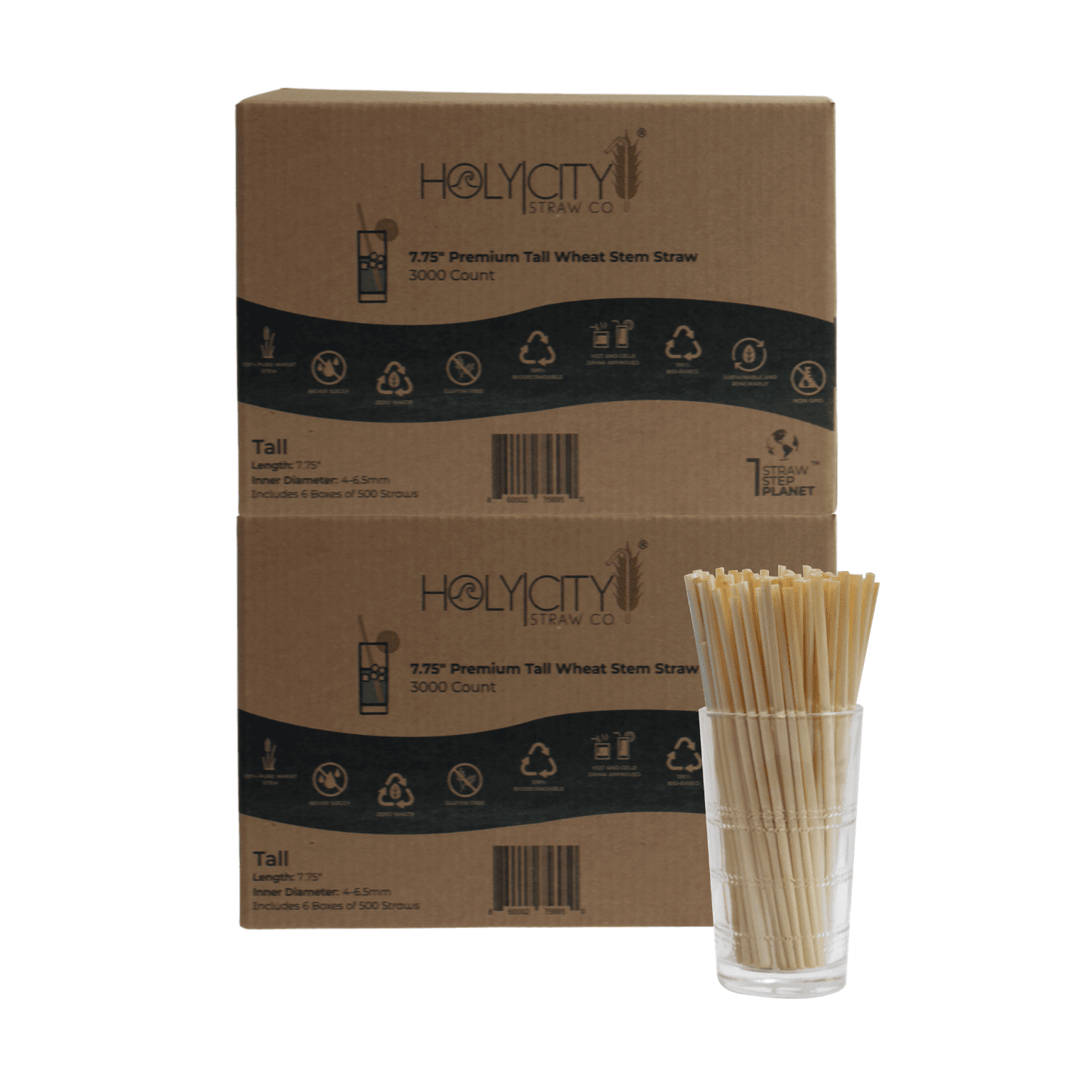 7.9" Tall Wheat Straws by Holy City Straw Company