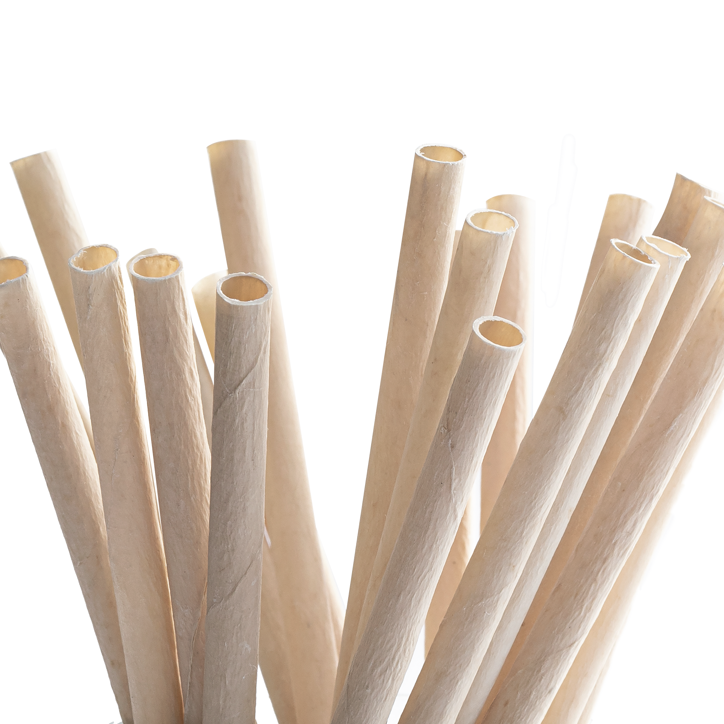 Coconut Drinking Straws by EQUO