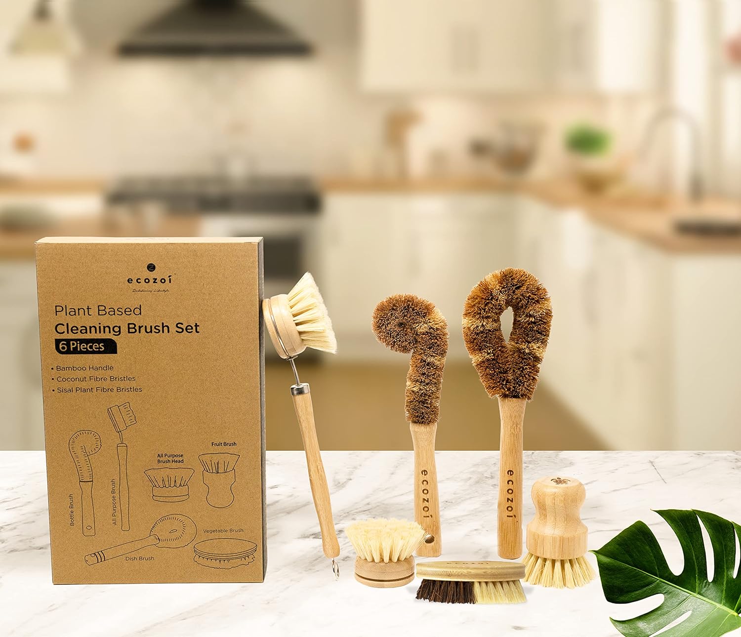 Dish Brush Set, 6 Piece Kitchen Scrub Brush Set, Plant Based Vegetable Brush Set by ecozoi