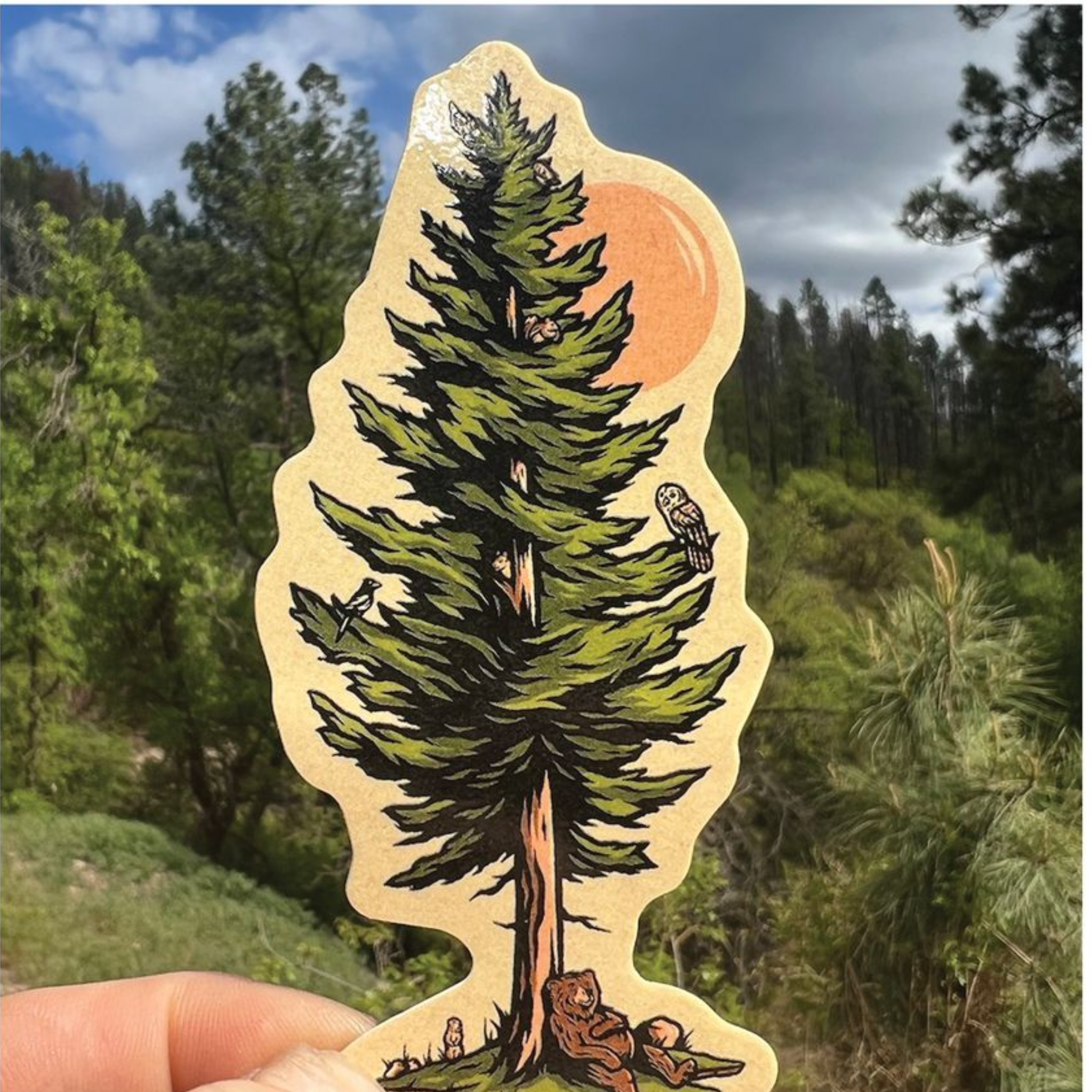 Chilling On A Fir Tree Sticker